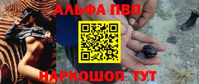 амф Сланцы