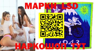 амф Сланцы