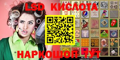 амф Сланцы