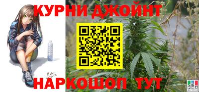 амф Сланцы