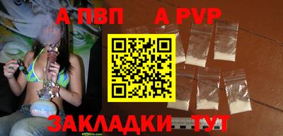 амф Сланцы