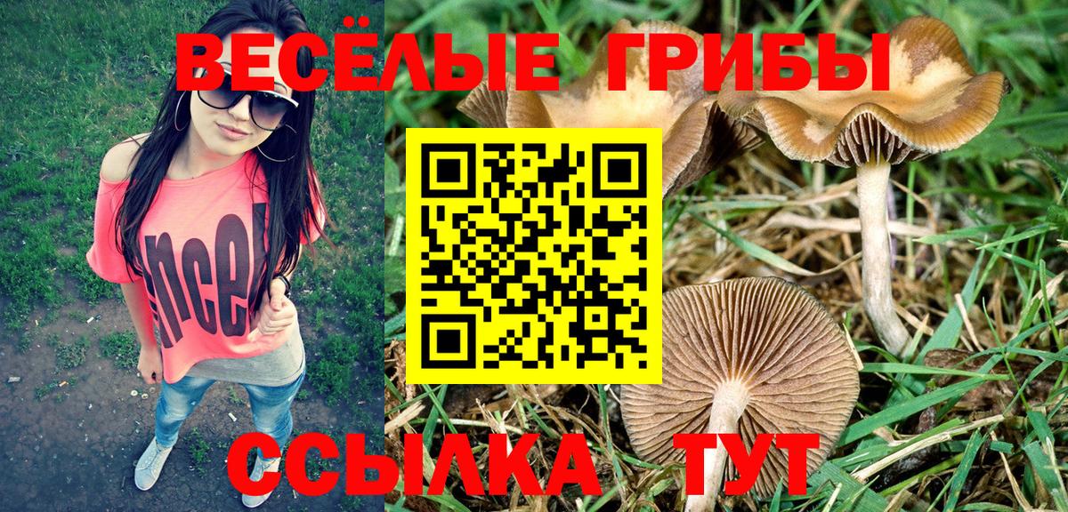 Галлюциногенные грибы MAGIC MUSHROOMS Аша