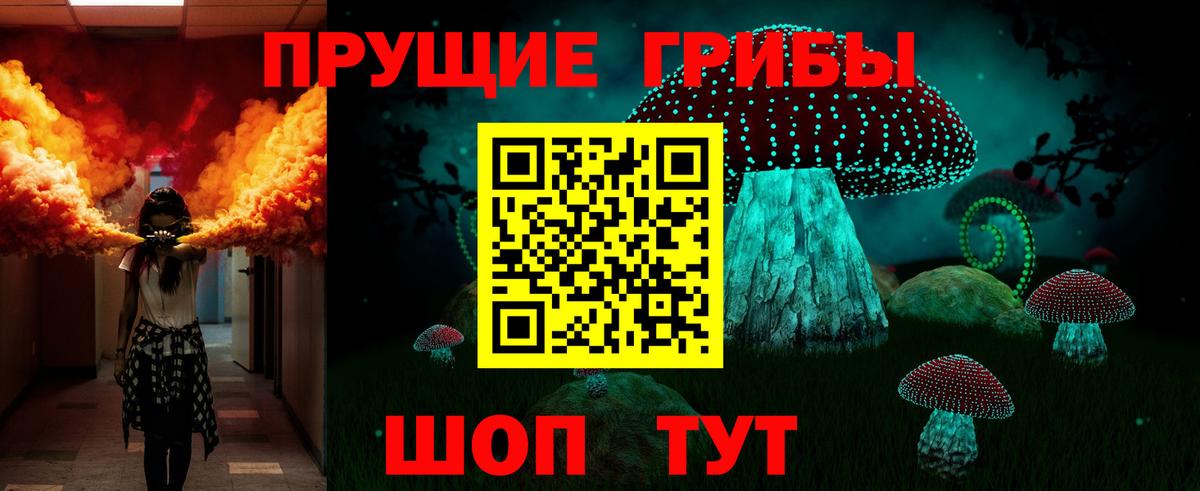 Галлюциногенные грибы Cubensis  Галлюциногенные грибы Psilocybe  Аша  Вход с VPN 